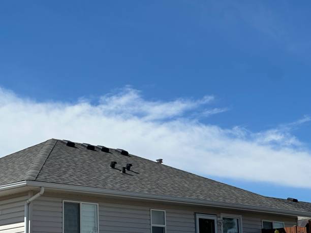 Roof Moss and Algae Removal in Breckenridge Hills, MO